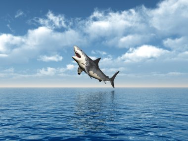 büyük beyaz köpekbalığı atlama