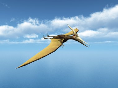 okyanus pteranodon Ingens yelken