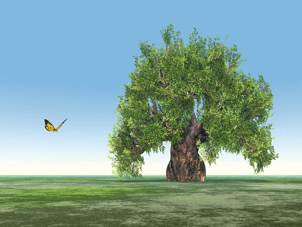 Einzelner Baum mit Schmetterling — Stockfoto