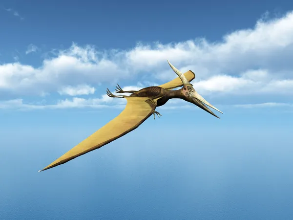 Océano vela Pteranodon Ingens —  Fotos de Stock
