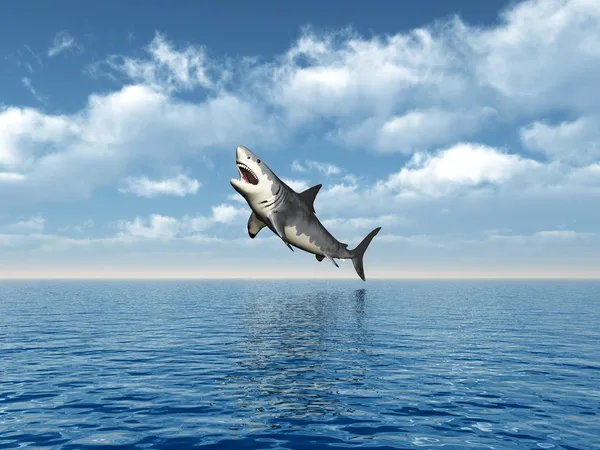 Gran salto de tiburón blanco Imagen de stock