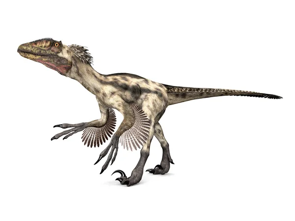 Dinossauro Deinonico — Fotografia de Stock