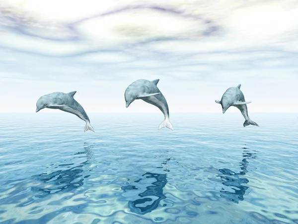 Delfines saltarines — Foto de Stock