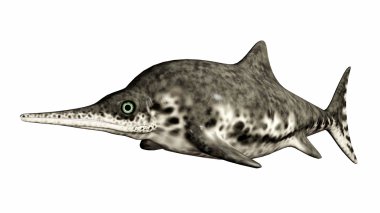 İchthyosaur Stenopterygius