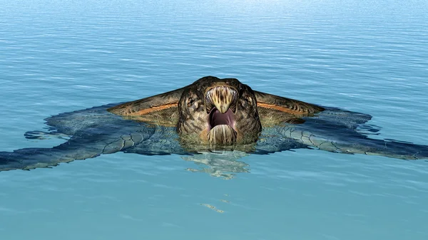 Tartaruga marinha gigante Archelon — Fotografia de Stock