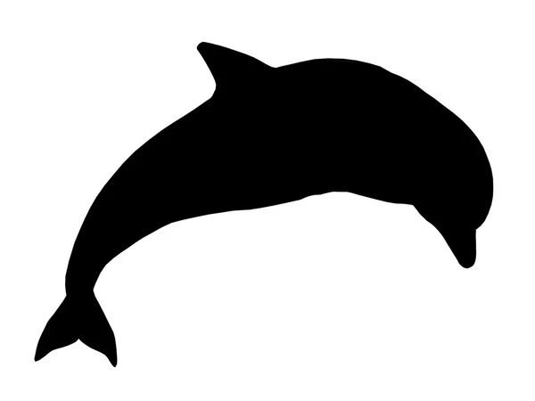 Силуэт с прыгающим дельфином — стоковое фото