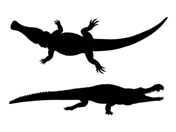 Silueta krokodýla — Stock fotografie