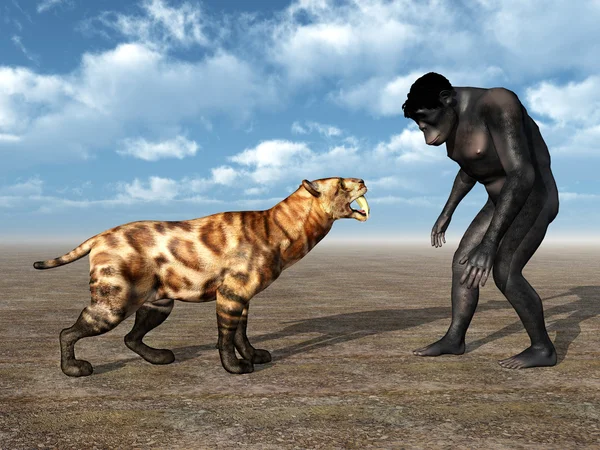 Homo Habilis - ihmisen evoluutio — kuvapankkivalokuva