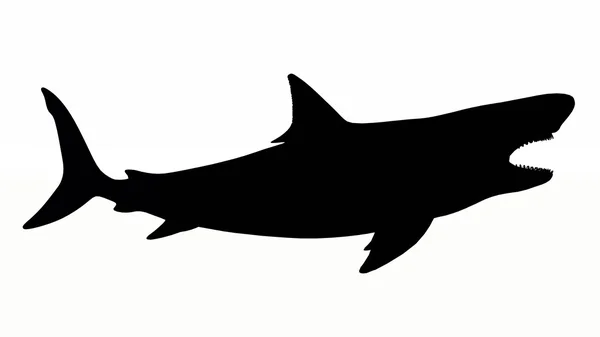 Silueta de un tiburón blanco —  Fotos de Stock