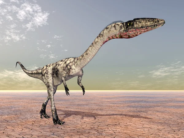 Dinosaurie coelophysis — Stockfoto