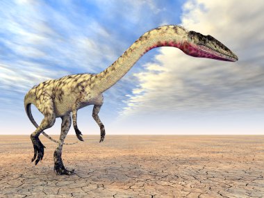 dinozor coelophysis