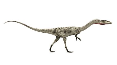 dinozor coelophysis
