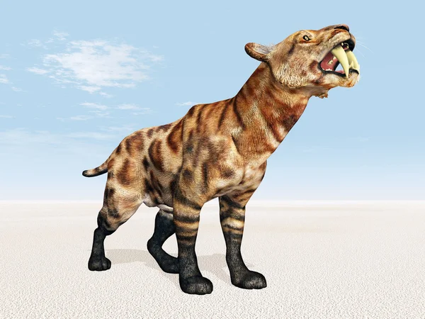 Sable-Toothed Cat Smilodon —  Fotos de Stock