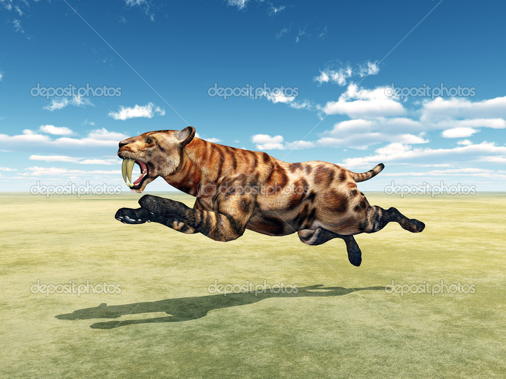 Kılıç dişli kedi mı Stok fotoğrafçılık ©mic1805 Telifsiz resim