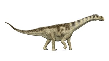 dinozor camarasaurus