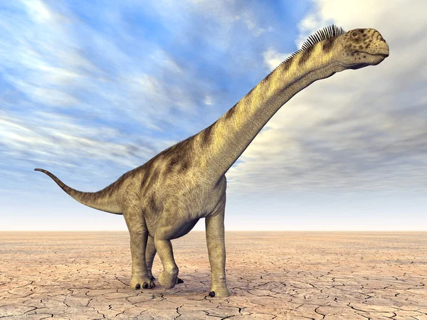 Dinosaur Camarasaurus — Stockfoto