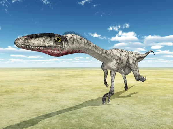 Dinossauro Coelophysis — Fotografia de Stock
