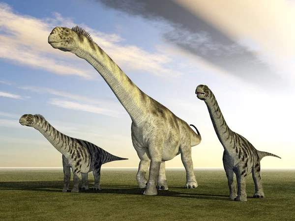 Dinosauro Camarasaurus — Foto Stock