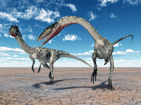 공룡 coelophysis — 스톡 사진