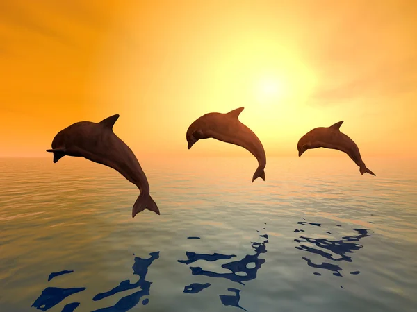 Jumping Dolphins — Stock Photo, Image