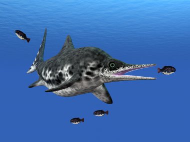 Stenopterygius