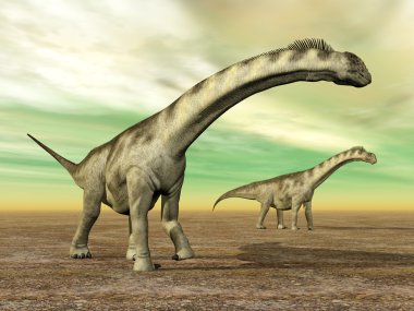 dinozor camarasaurus