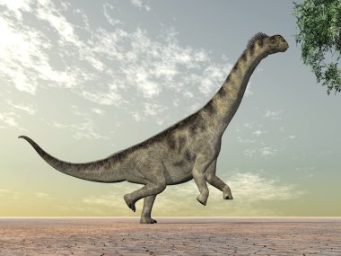 dinozor camarasaurus