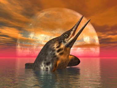 İchthyosaur Stenopterygius