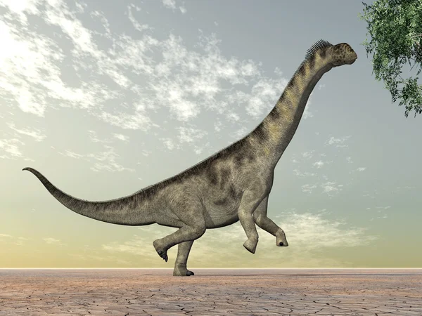 Dinosaur Camarasaurus – stockfoto