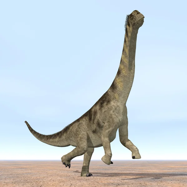 Saurier-Camarasaurus — Stockfoto