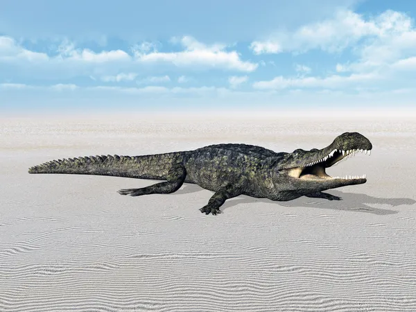 Crocodile — Stock Photo, Image