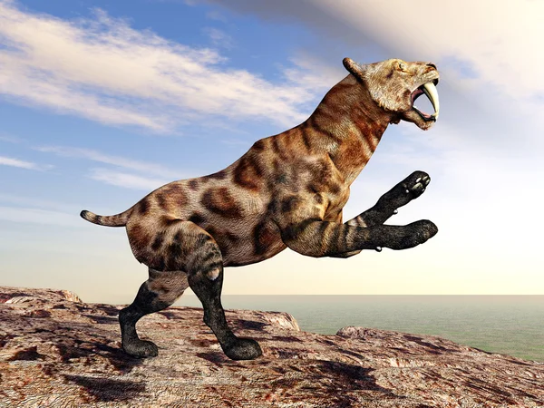 The Smilodon — Stock Photo, Image