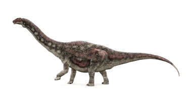 dinozor diamantinasaurus