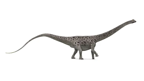 Dinosaurierdiplodocus — Stockfoto