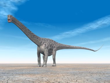 dinozor diplodocus