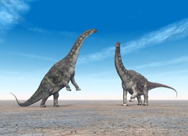dinozor diamantinasaurus