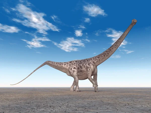 Diplodocus de dinosaurios — Foto de Stock