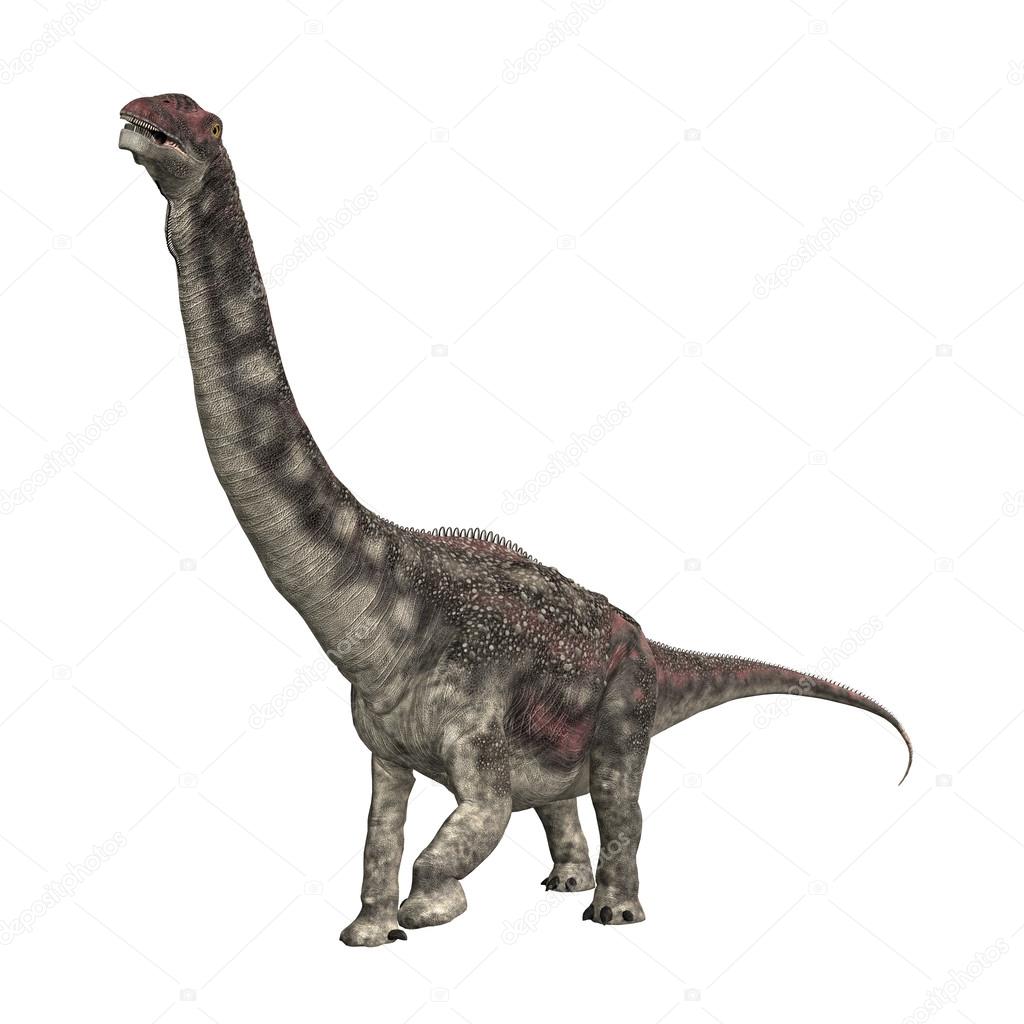 Dinosaur Diamantinasaurus