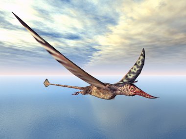 Pterosaur Rhamphorhynchus