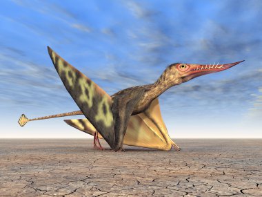 Pterosaur Rhamphorhynchus
