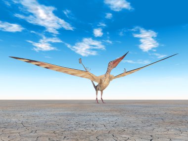 Pterosaur Rhamphorhynchus