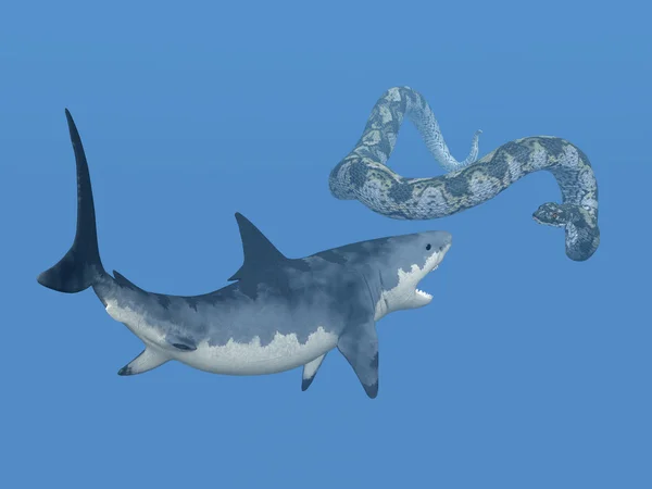 Weißer Hai und Titanoboa — Stockfoto