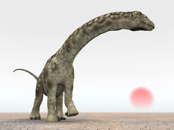Динозавр argentinosaurus — стокове фото