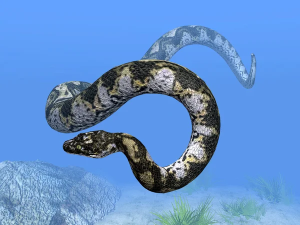 Titanoboa — Stockfoto