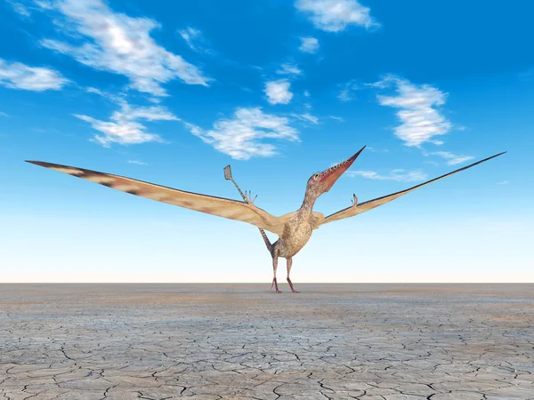 Pterosaur Rhamphorhynchus — Stockfoto