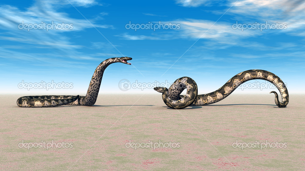 Titanoboa — Stock Photo © mic1805 #41092883