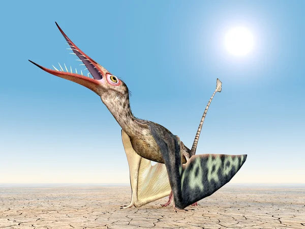 Pterosaur Rhamphorhynchus — Stockfoto