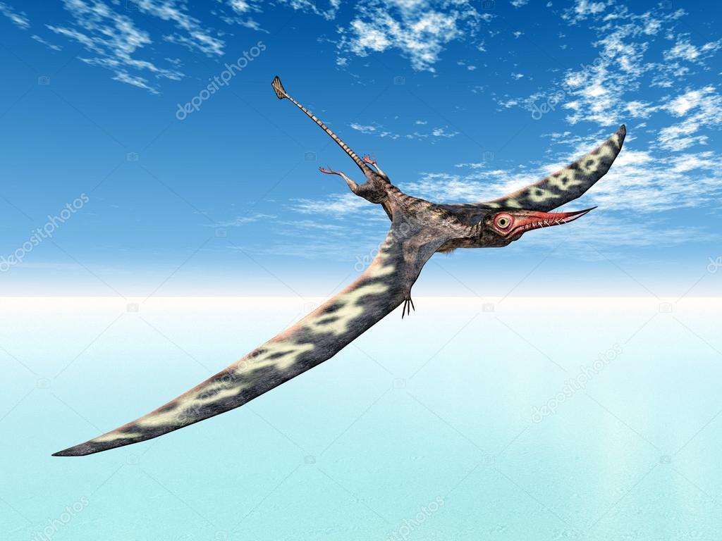 rhamphorhynchus pterosaur