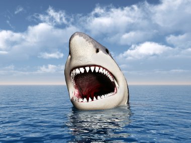 Büyük beyaz köpekbalığı