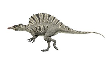 dinozor spinosaurus